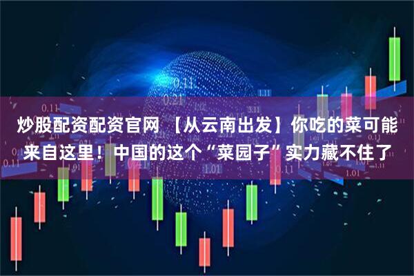 炒股配资配资官网 【从云南出发】你吃的菜可能来自这里！中国的这个“菜园子”实力藏不住了